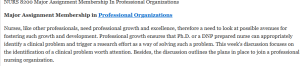 NURS 8200 Major Assignment Membership In Professional Organizations