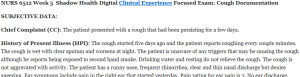 NURS 6512 Week 5  Shadow Health Digital Clinical Experience Focused Exam: Cough Documentation