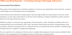 NRS 415 Benchmark - Creating Change Through Advocacy